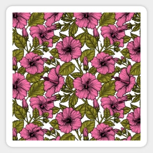 Pink hibiscus flowers Sticker